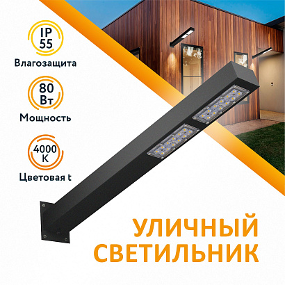 Светильник уличный СКУ-2 4000К 860х340х130